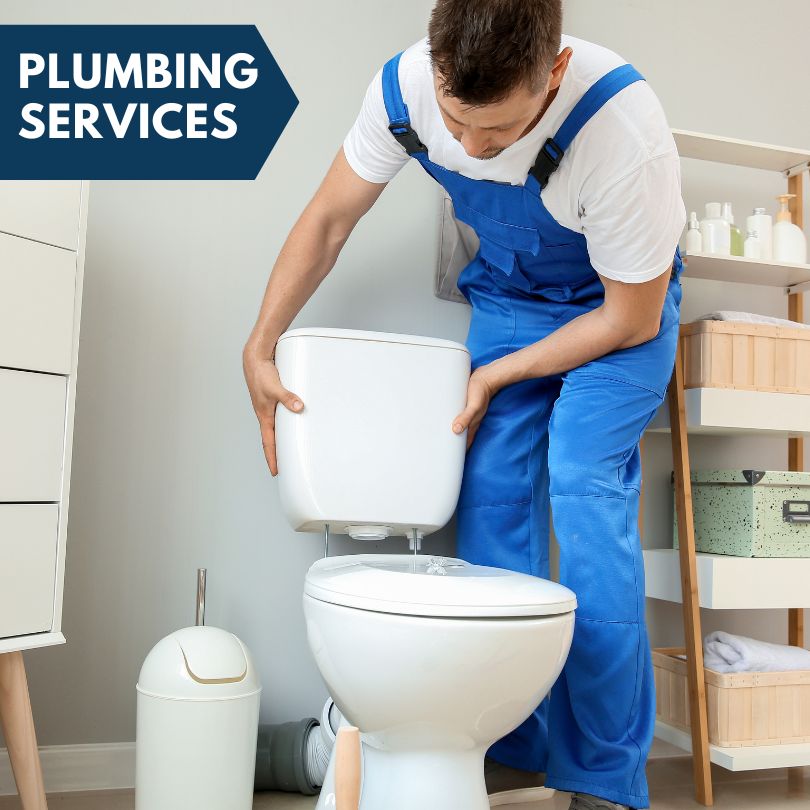Plumbing Company in Wellston, MI